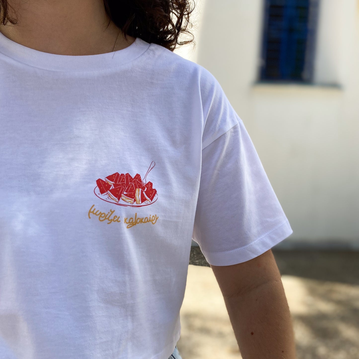 GREEK SUMMER - SILK PRINTED CROP TOP