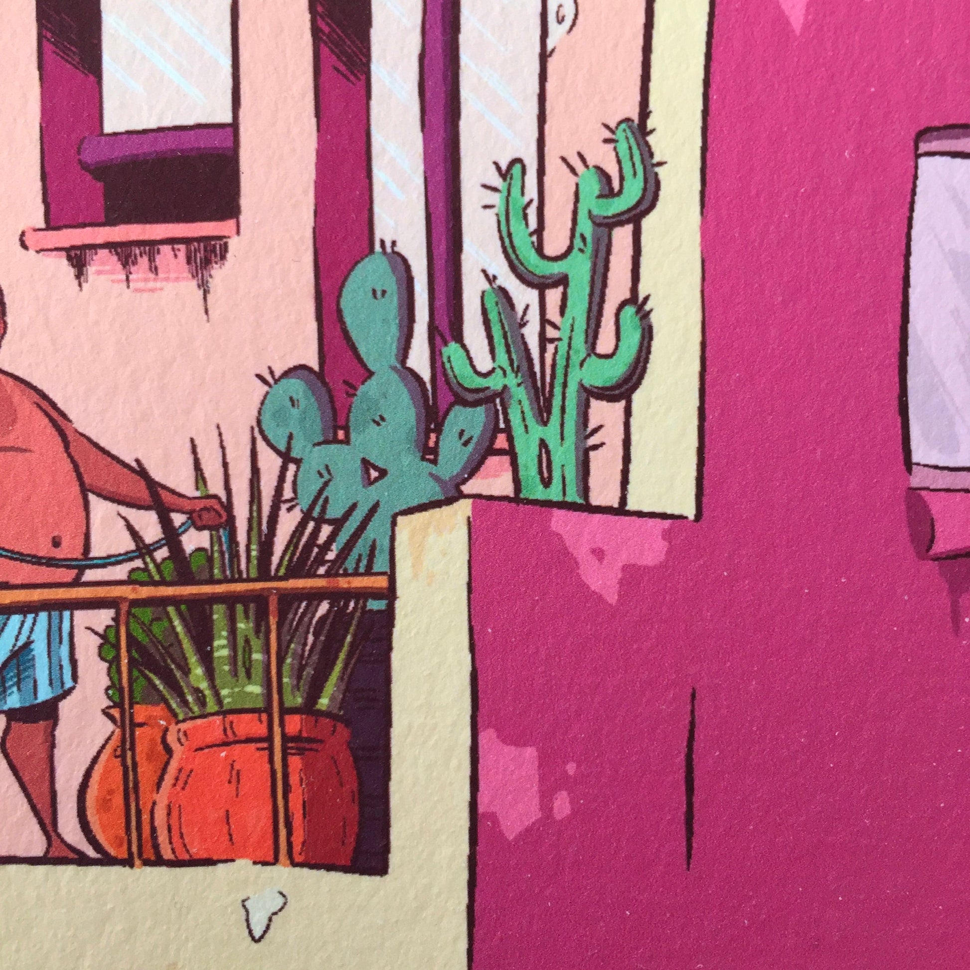 close up of the plants present on the higher balcony. We have some cactus, and aloe vera and a little bush of some unknown plant